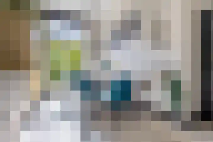 Duke Ellingtonstraat 31 Zaandijk thumbnail 16