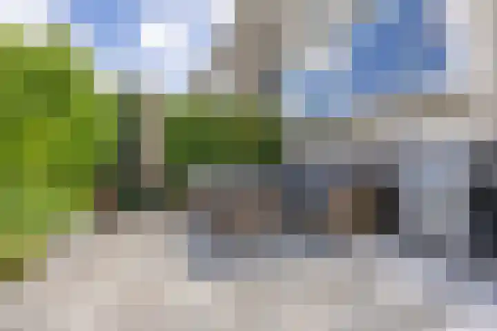 Duke Ellingtonstraat 31 Zaandijk thumbnail 17