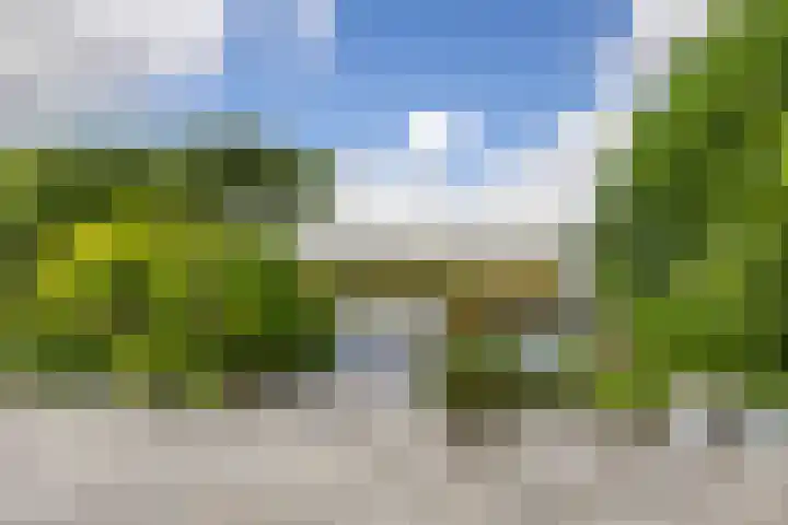 Duke Ellingtonstraat 31 Zaandijk thumbnail 18