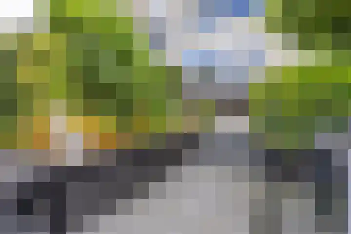 Duke Ellingtonstraat 31 Zaandijk thumbnail 21
