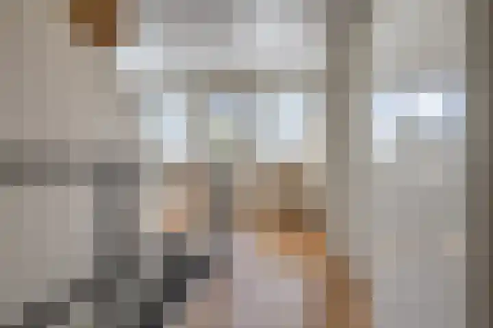 Duke Ellingtonstraat 31 Zaandijk thumbnail 23