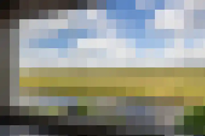 Duke Ellingtonstraat 31 Zaandijk thumbnail 27