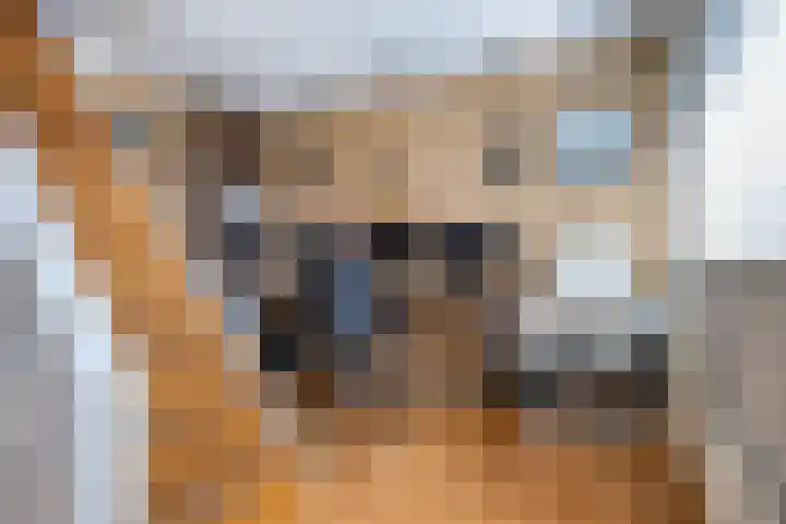 Duke Ellingtonstraat 31 Zaandijk thumbnail 29