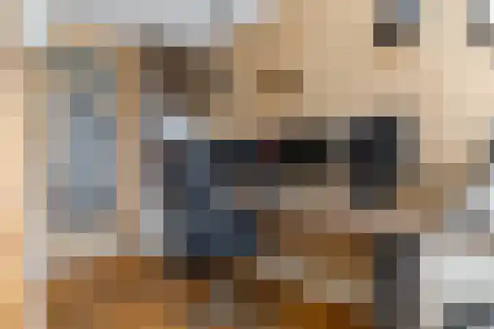 Duke Ellingtonstraat 31 Zaandijk thumbnail 30