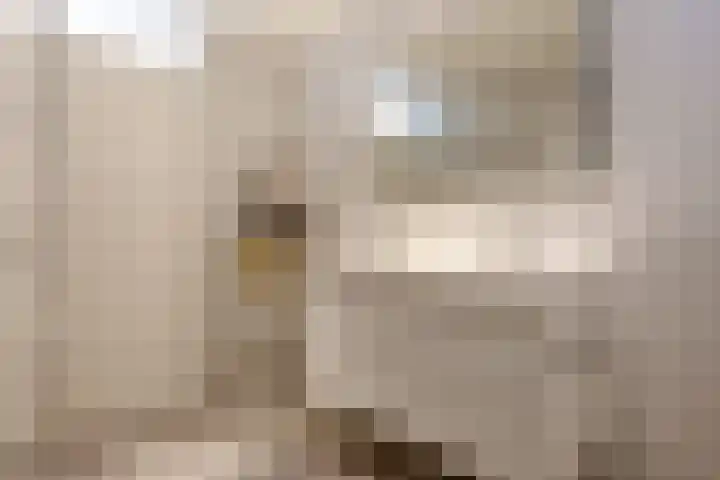 Duke Ellingtonstraat 31 Zaandijk thumbnail 36