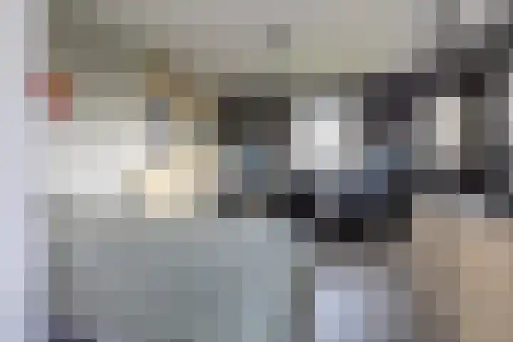 Duke Ellingtonstraat 31 Zaandijk thumbnail 41
