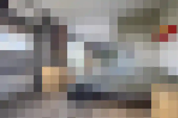 Duke Ellingtonstraat 31 Zaandijk thumbnail 42
