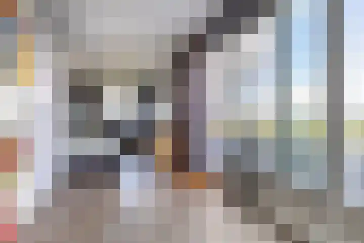 Duke Ellingtonstraat 31 Zaandijk thumbnail 43