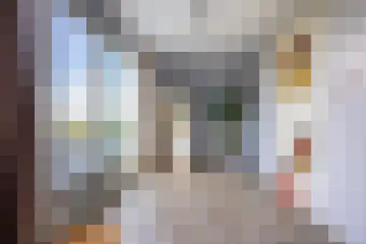 Duke Ellingtonstraat 31 Zaandijk thumbnail 44