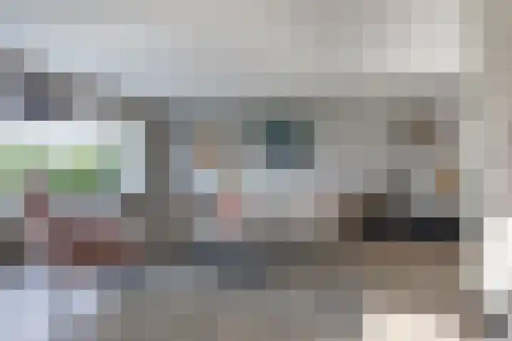 Duke Ellingtonstraat 31 Zaandijk thumbnail 5