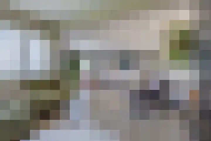Duke Ellingtonstraat 31 Zaandijk thumbnail 6