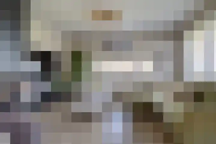 Duke Ellingtonstraat 31 Zaandijk thumbnail 7