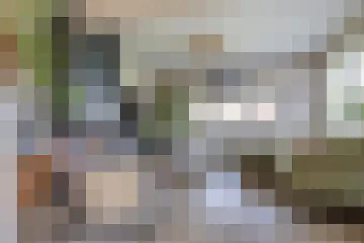 Duke Ellingtonstraat 31 Zaandijk thumbnail 8