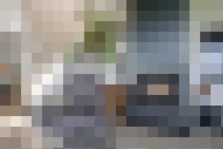 Duke Ellingtonstraat 31 Zaandijk thumbnail 9