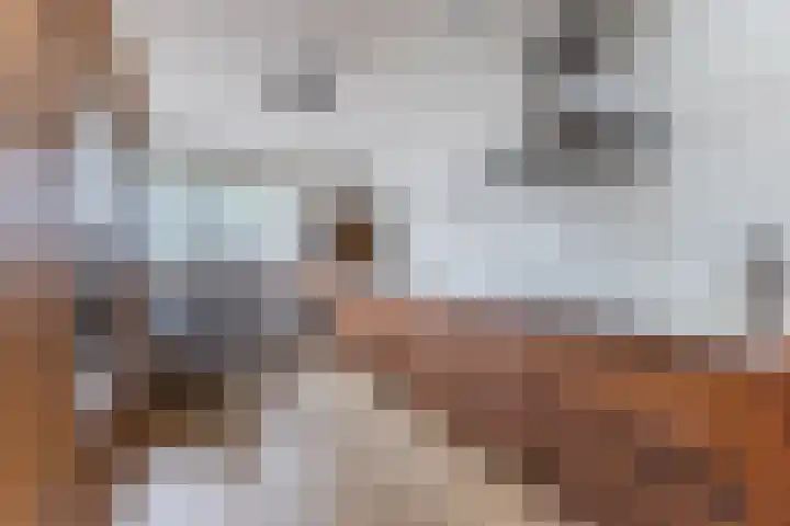 Duke Ellingtonstraat 7 Zaandijk thumbnail 16
