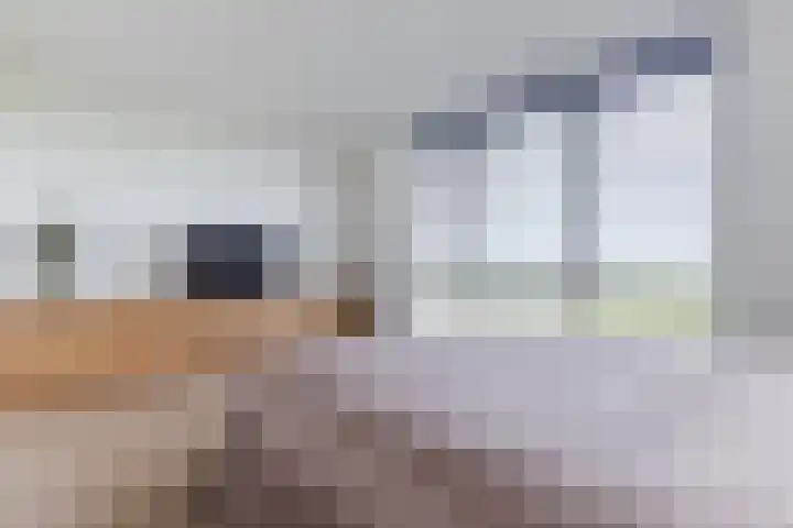 Duke Ellingtonstraat 7 Zaandijk thumbnail 33