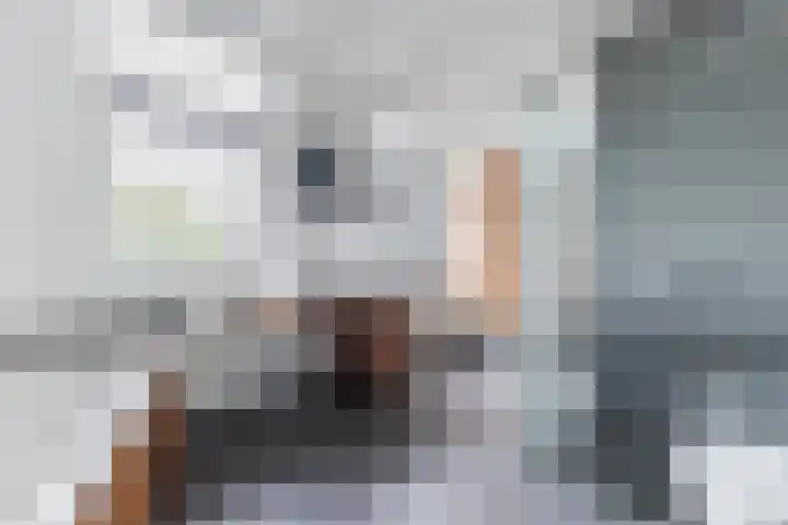 Duke Ellingtonstraat 7 Zaandijk thumbnail 37