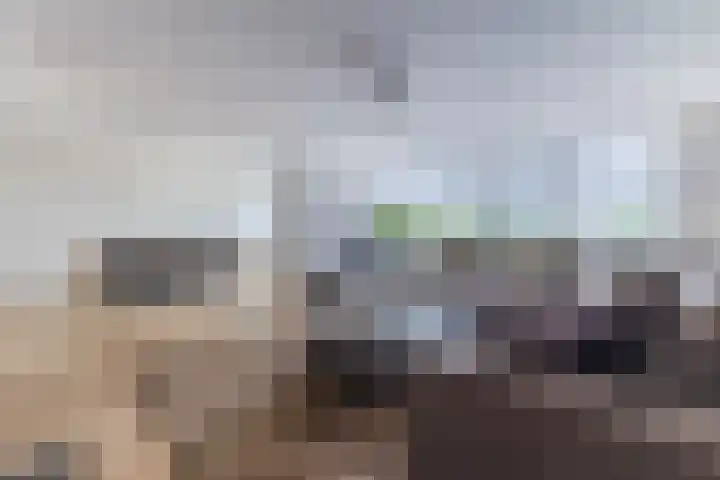 Duke Ellingtonstraat 7 Zaandijk thumbnail 4