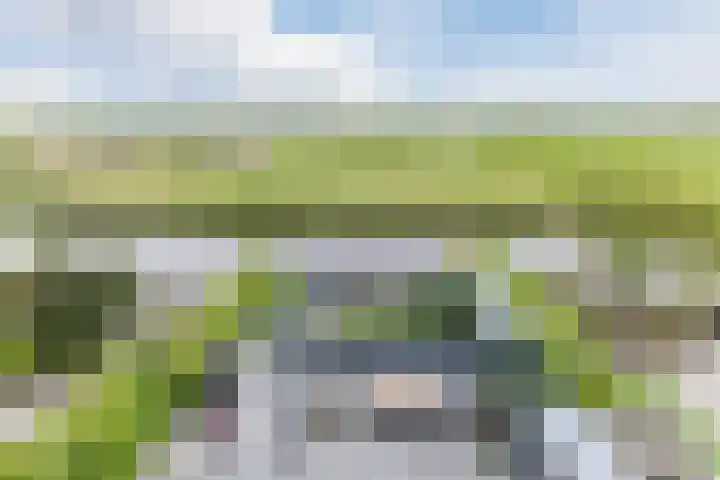 Duke Ellingtonstraat 7 Zaandijk thumbnail 42