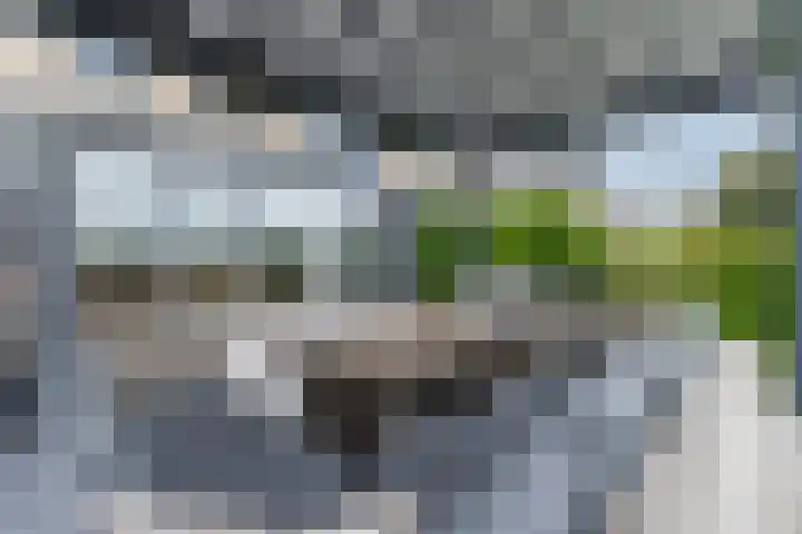 Duke Ellingtonstraat 7 Zaandijk thumbnail 46