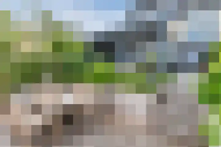 Duke Ellingtonstraat 7 Zaandijk thumbnail 47