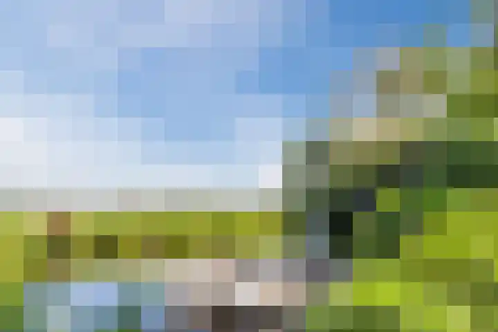 Duke Ellingtonstraat 7 Zaandijk thumbnail 5