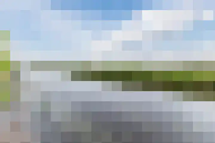 Duke Ellingtonstraat 7 Zaandijk thumbnail 51
