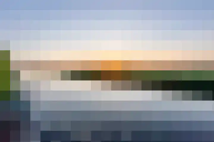 Duke Ellingtonstraat 7 Zaandijk thumbnail 54