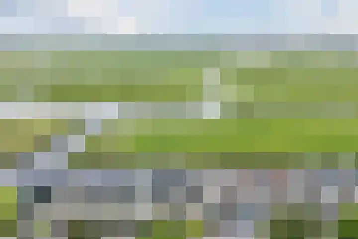 Duke Ellingtonstraat 7 Zaandijk thumbnail 62