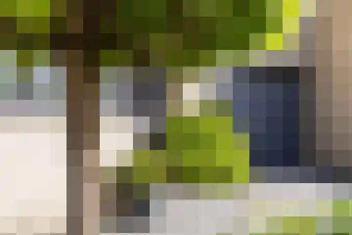 Duke Ellingtonstraat 7 Zaandijk thumbnail 7