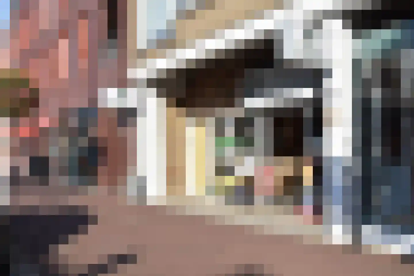 Duke Ellingtonstraat 71 Den Haag thumbnail 40