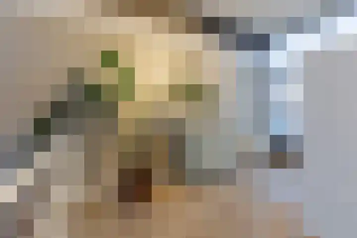 Duke Ellingtonstraat 9 Zaandijk thumbnail 31
