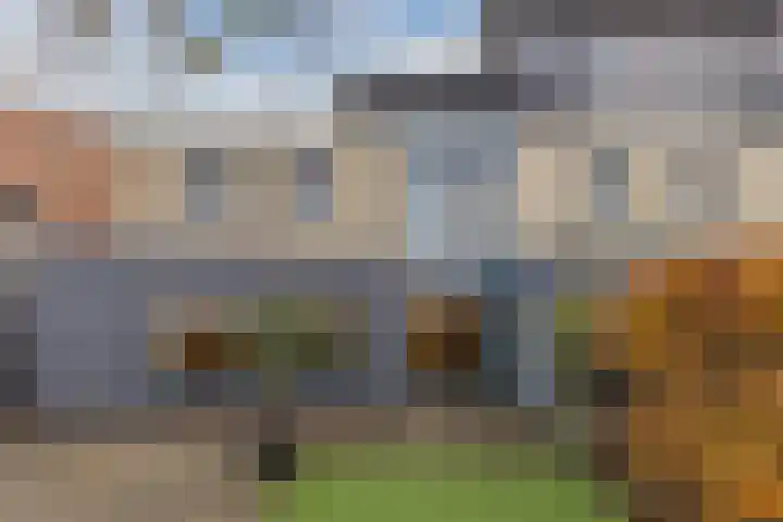 Duke Ellingtonstraat 9 Zaandijk thumbnail 36