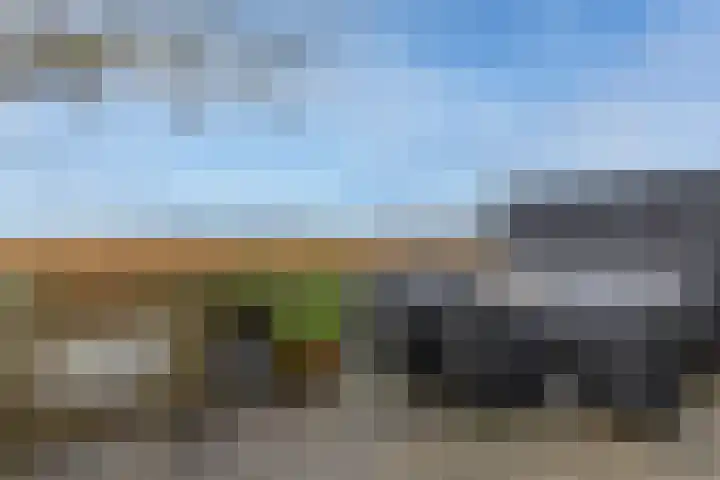 Duke Ellingtonstraat 9 Zaandijk thumbnail 4