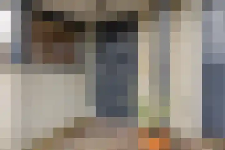 Duke Ellingtonstraat 9 Zaandijk thumbnail 7