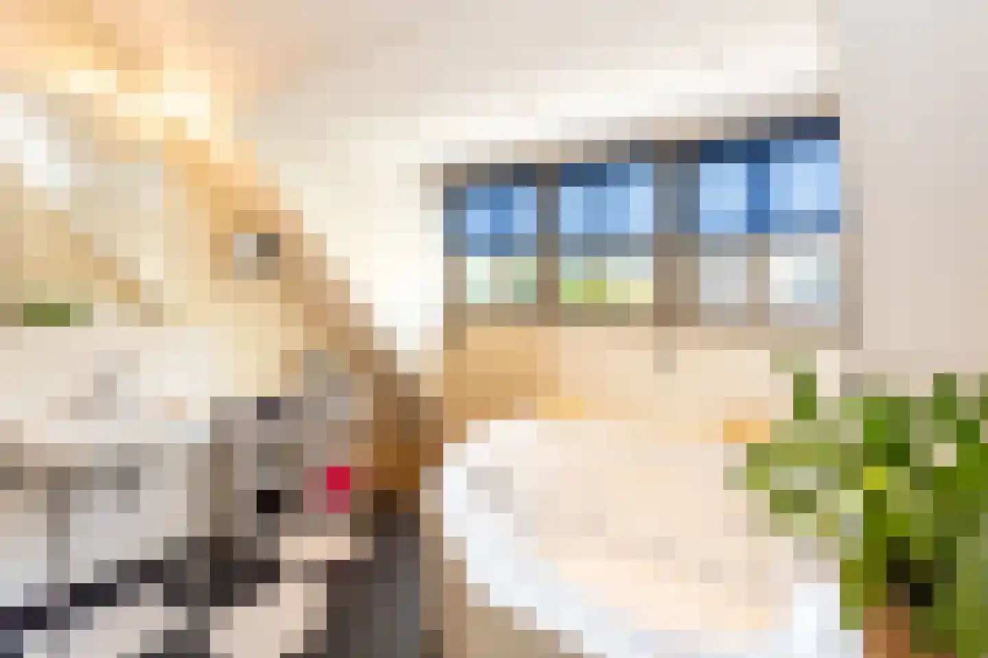 Dukenburg 1 Groesbeek thumbnail 36