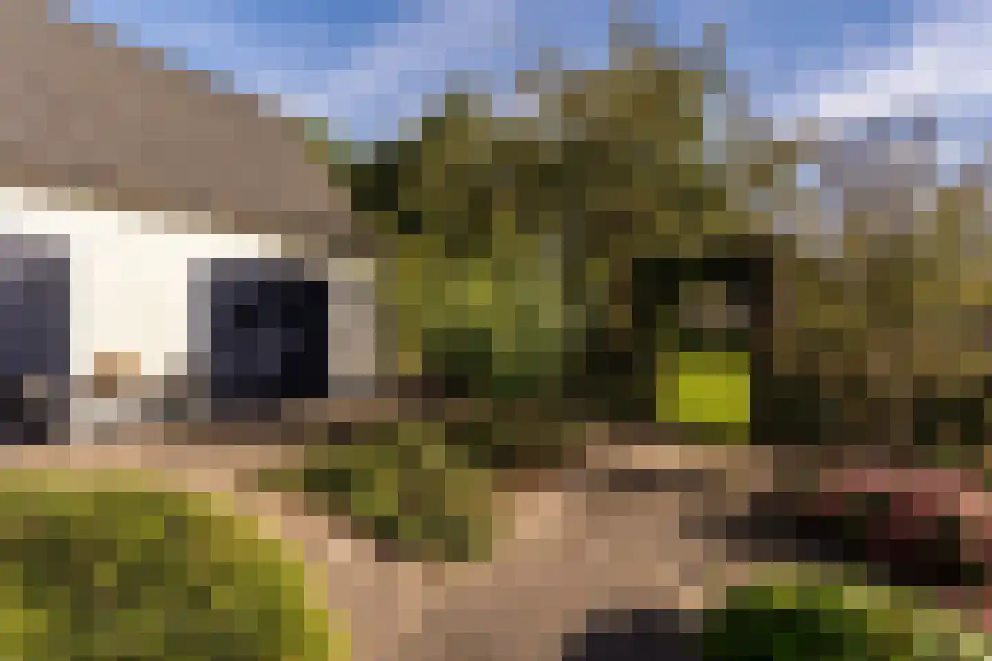 Dukenburg 1 Groesbeek thumbnail 60