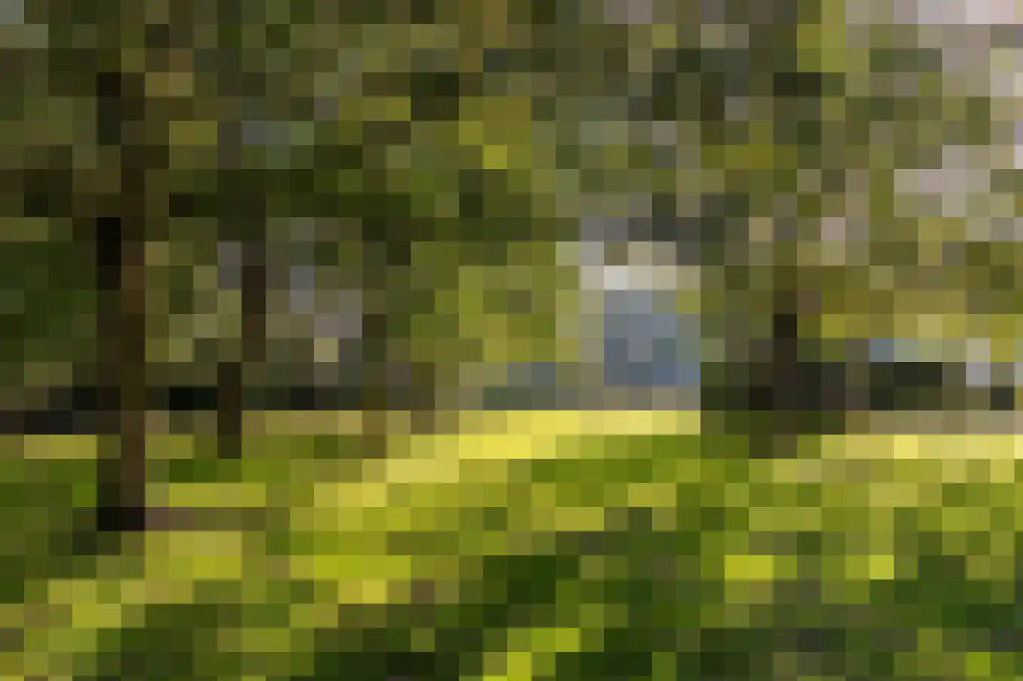 Dukenburg 1 Groesbeek thumbnail 62