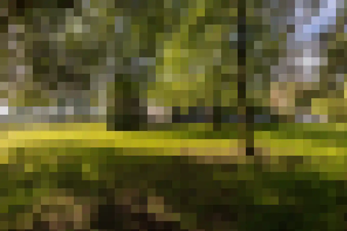 Dukenburg 1 Groesbeek thumbnail 63