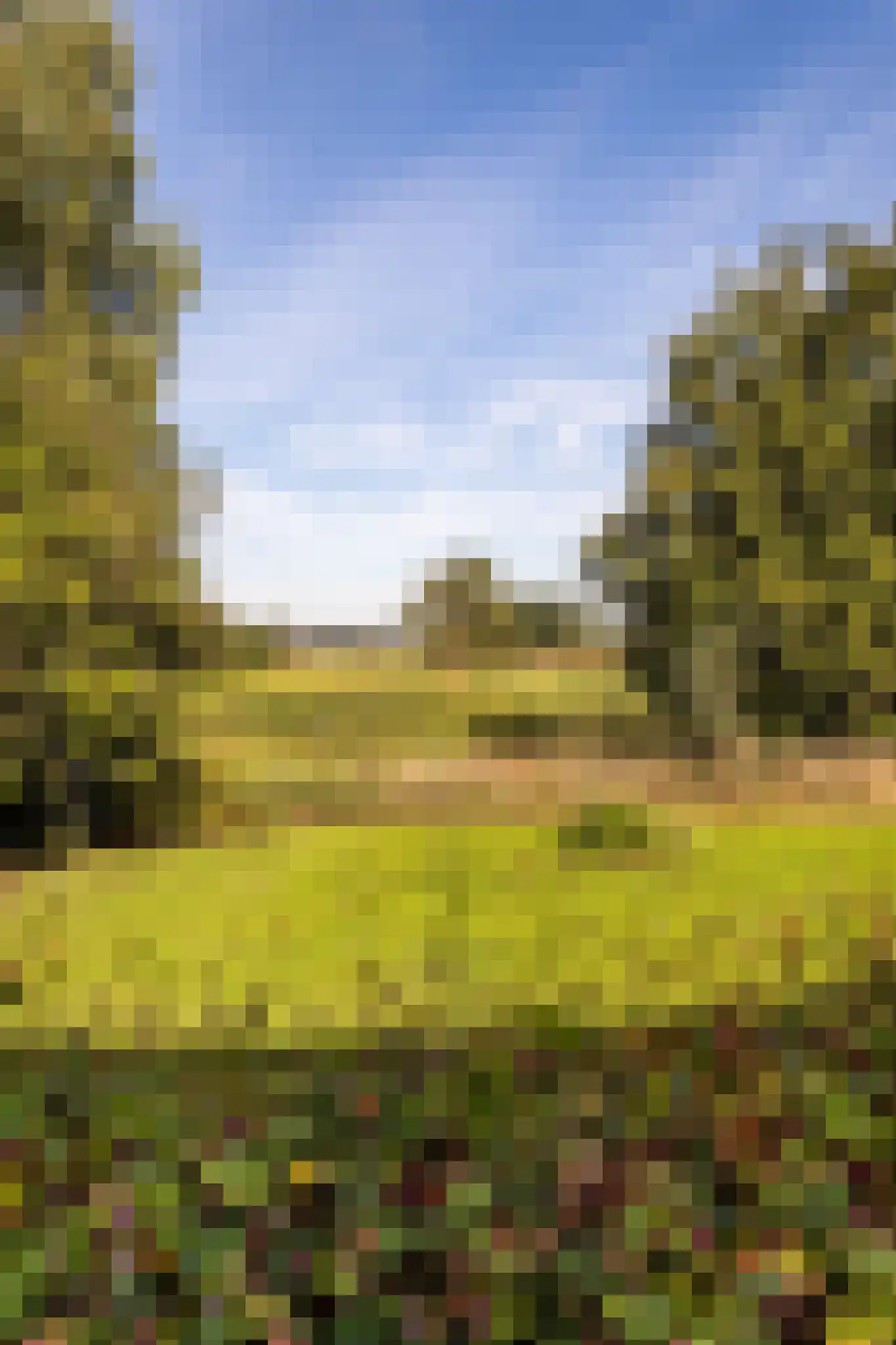 Dukenburg 1 Groesbeek thumbnail 67