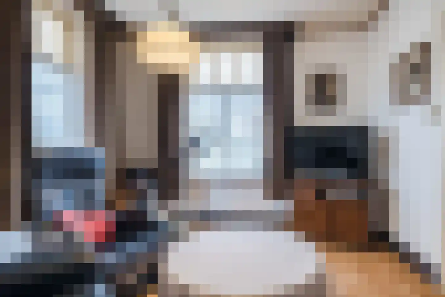 Dukesvoort 2 Duizel thumbnail 15