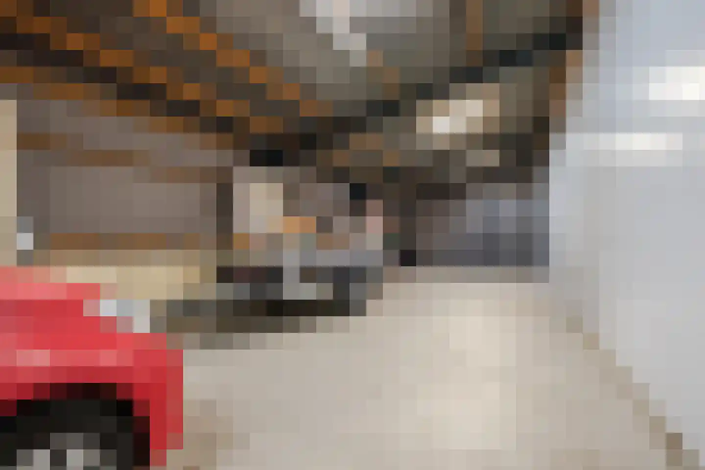 Dukesvoort 2 Duizel thumbnail 47