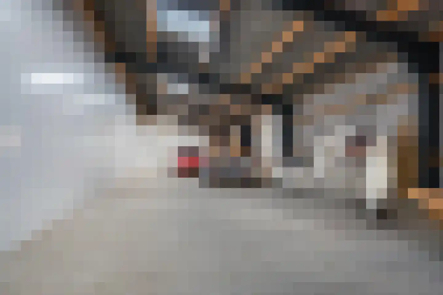 Dukesvoort 2 Duizel thumbnail 48