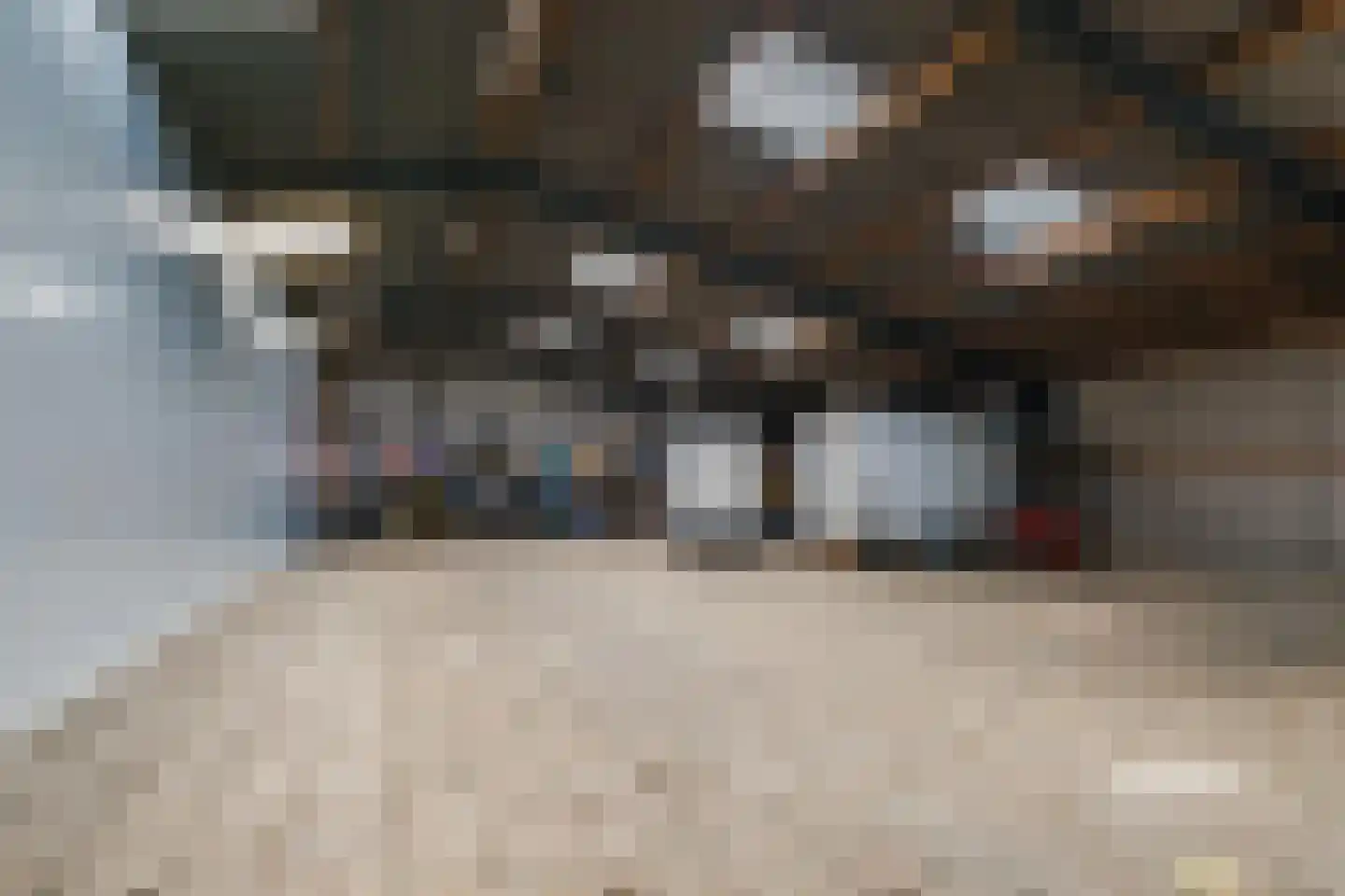 Dukesvoort 2 Duizel thumbnail 51