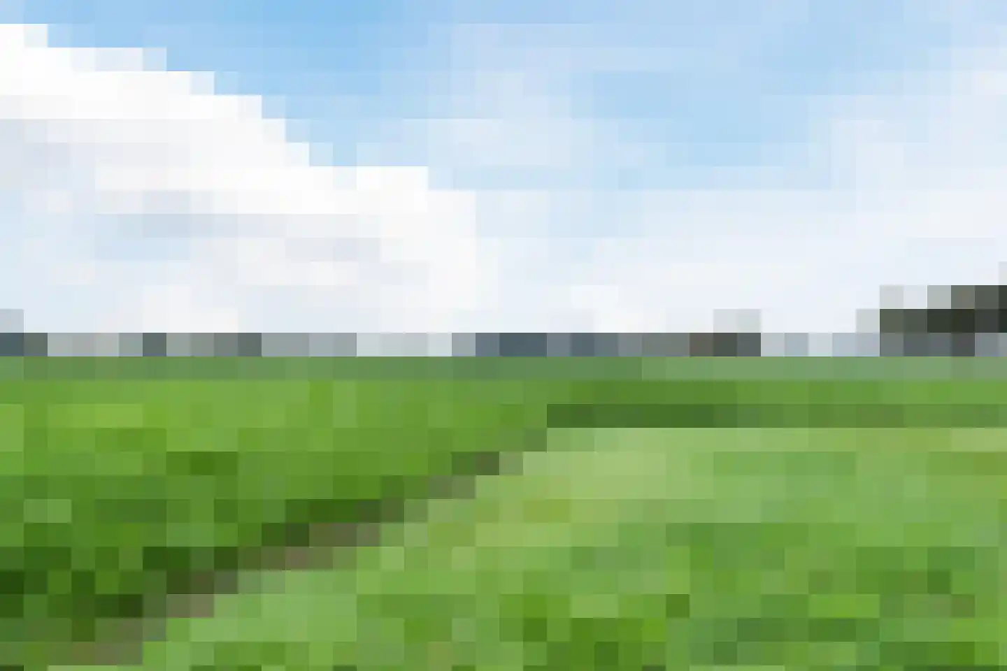 Dukesvoort 2 Duizel thumbnail 54