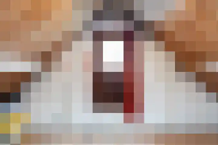 Dulderstraat 10 Oud Gastel thumbnail 38