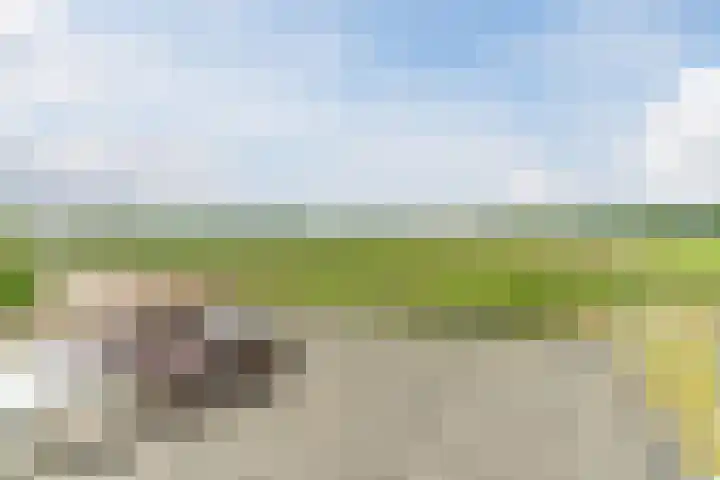 Dulderstraat 10 Oud Gastel thumbnail 42