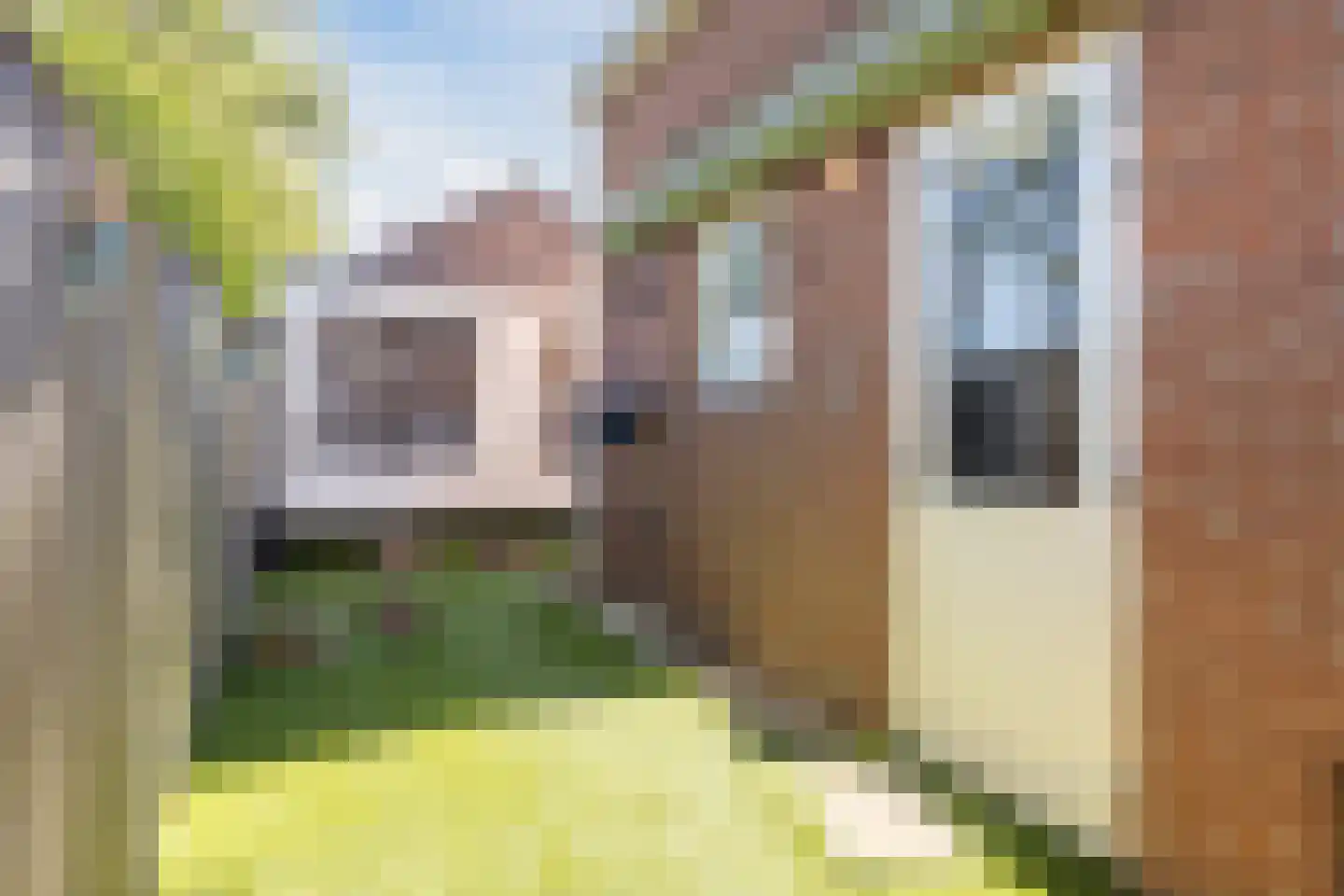 Dulderstraat 9 Oud Gastel thumbnail 43