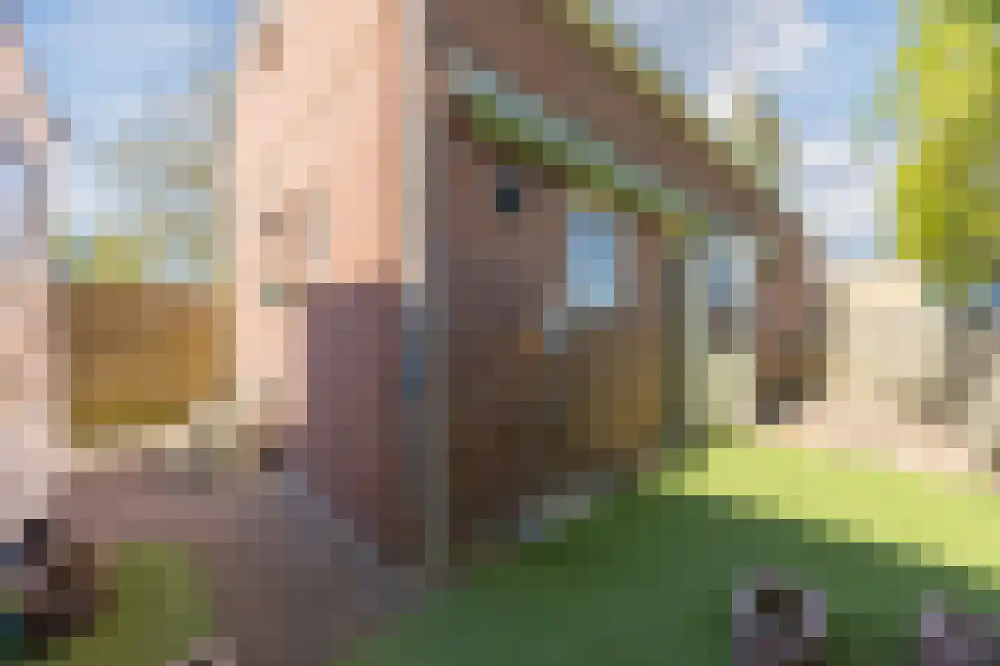 Dulderstraat 9 Oud Gastel thumbnail 44