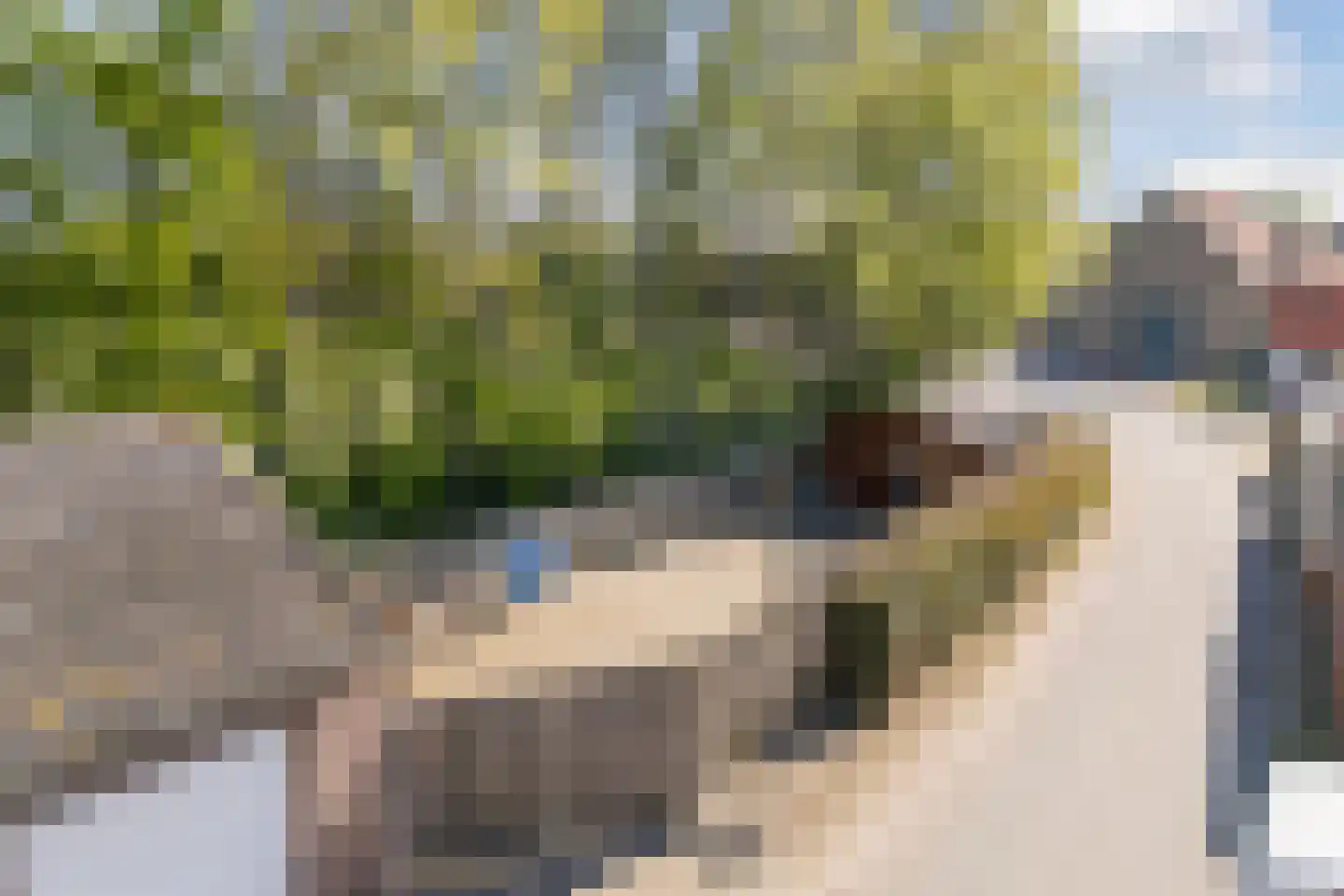 Dulderstraat 9 Oud Gastel thumbnail 53